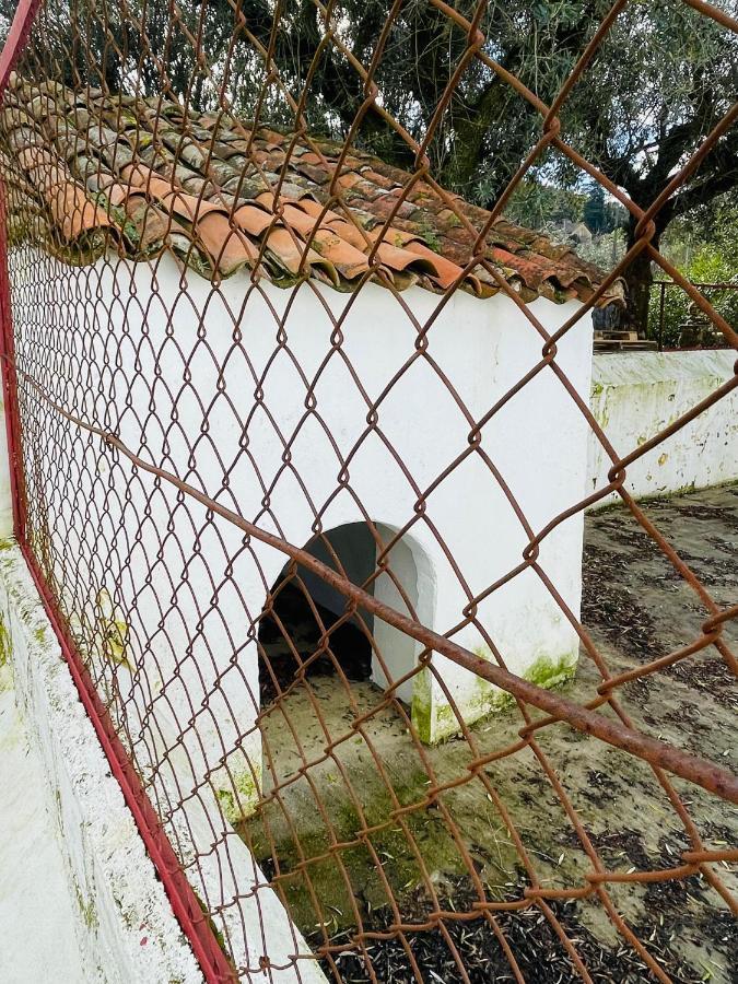 Casa Do Martinho Guest House Castelo de Vide Bagian luar foto